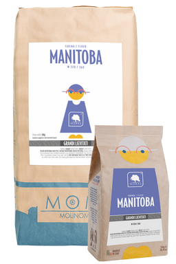 Farina manitoba alta forza
