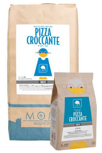 Flour type 1R - Pizza Croccante